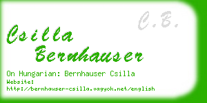 csilla bernhauser business card